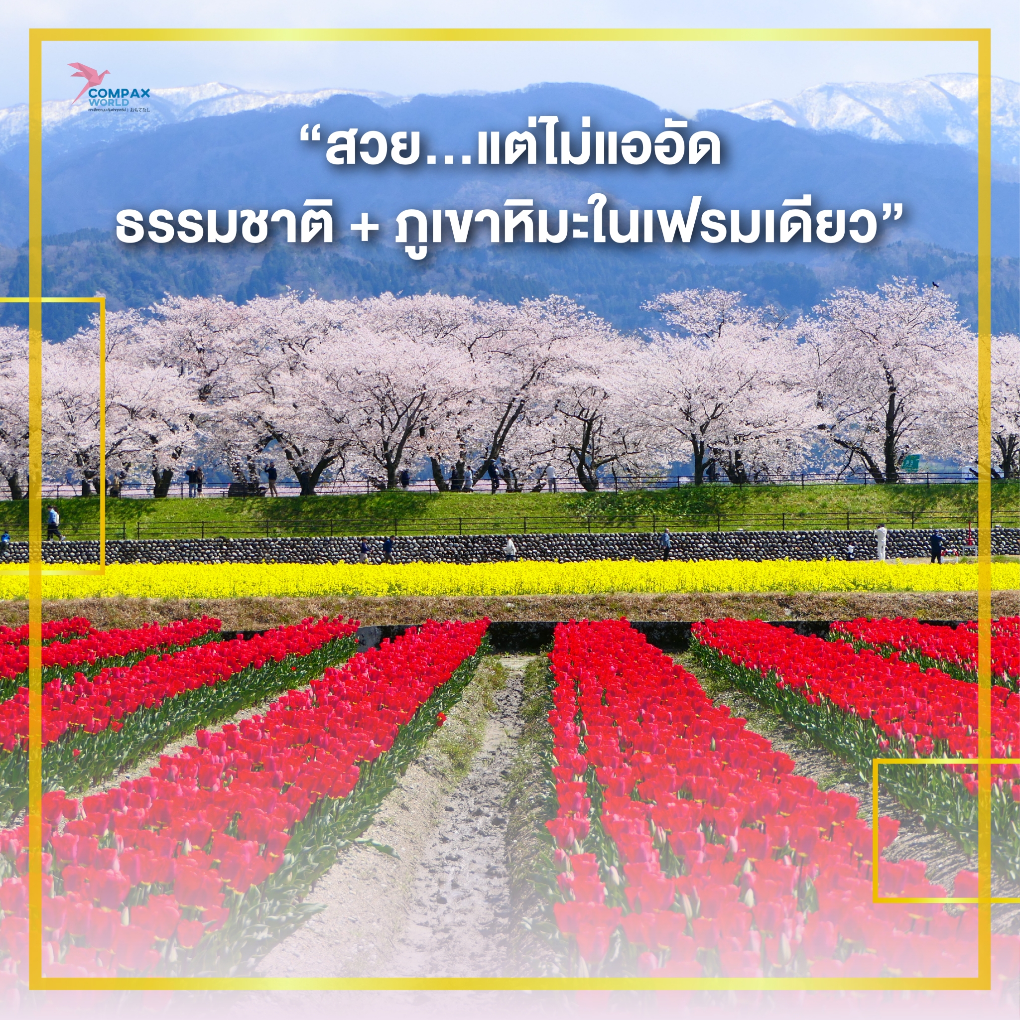 เที่ยวญี่ปุ่น ทัวร์ญี่ปุ่น ทัวร์ญี่ปุ่นกรุ๊ปเล็ก